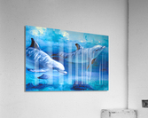 Flowing Acrylic Print
