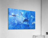 Soul Friend Acrylic Print