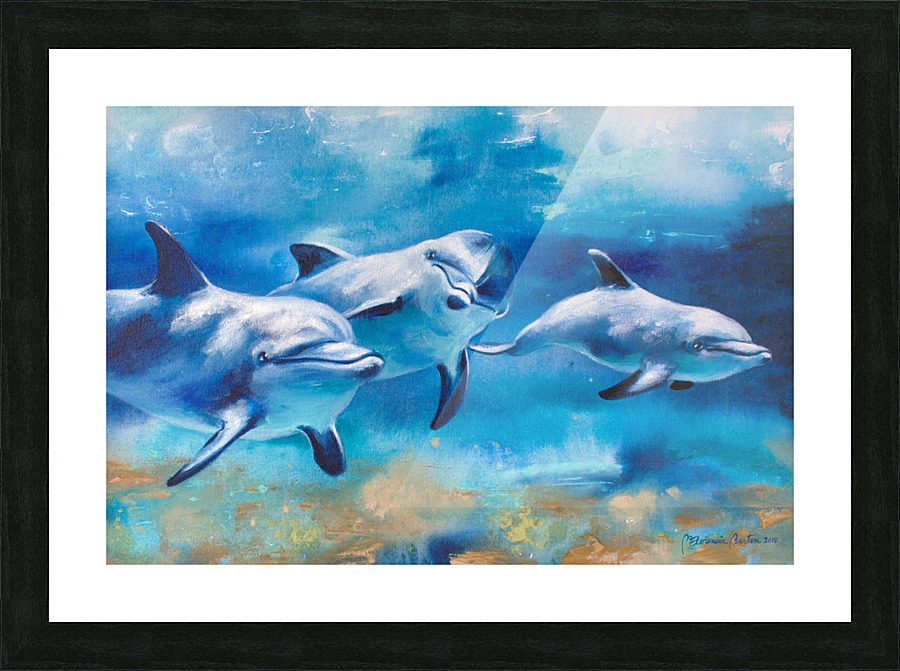 Dolphins Journey Picture Frame print