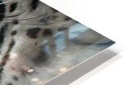 THE PURPOSE SNOW LEOPARD HD Metal print