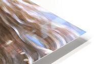 Califa HD Metal print