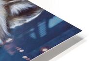 Sinceridad HD Metal print