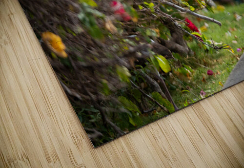Stable Colors Seymour Studio puzzle
