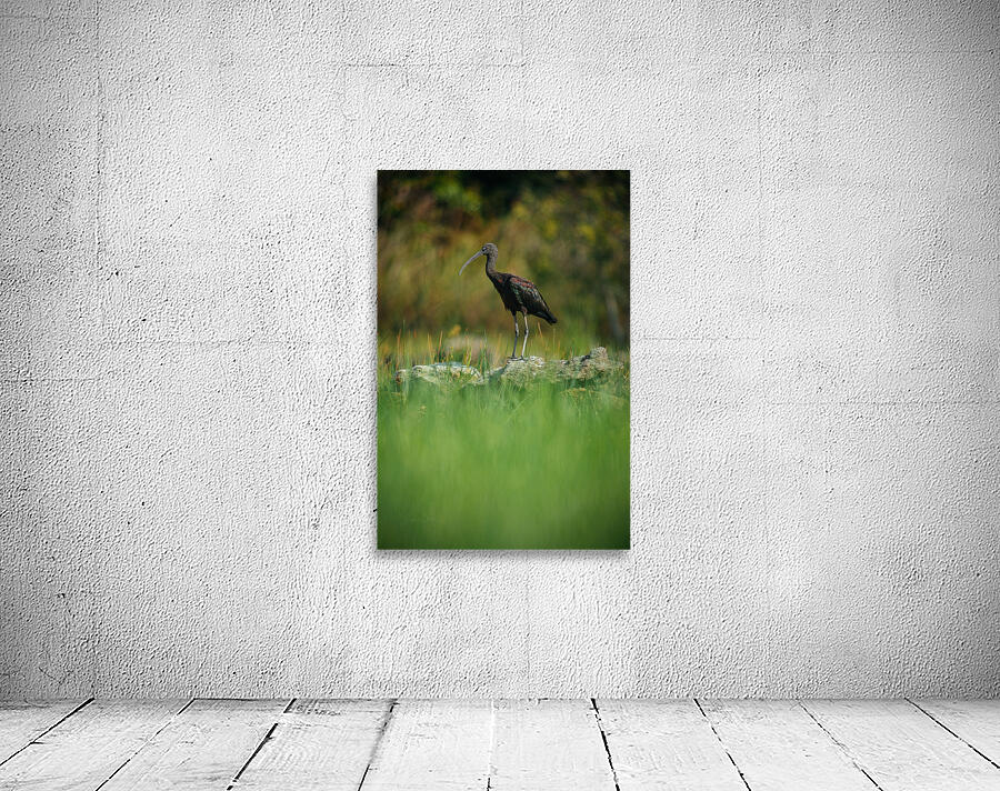 Through The Grass Wall Preview