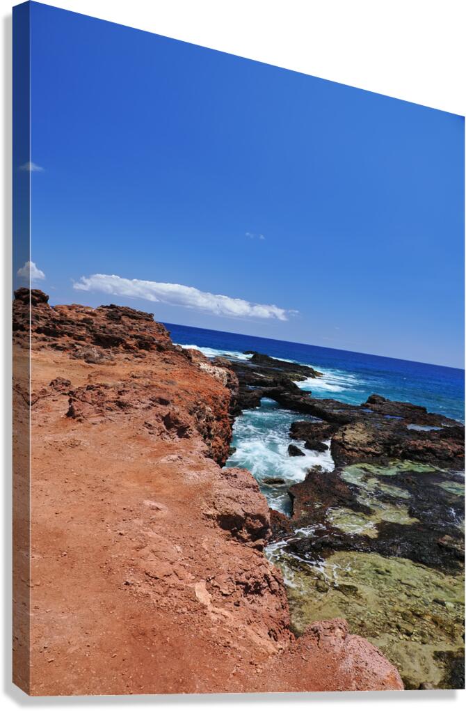 Nature’s Palette Canvas Print