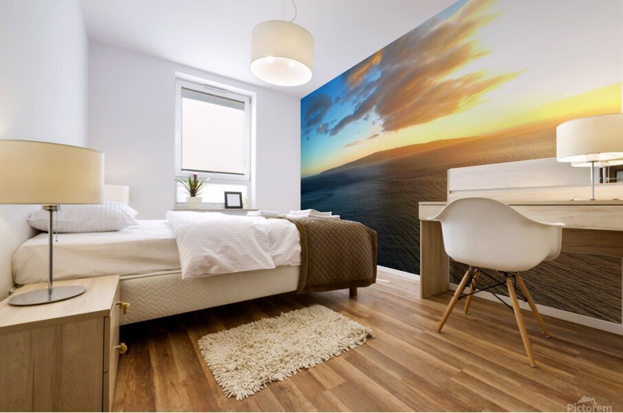 Chromatic Symphony Mural print
