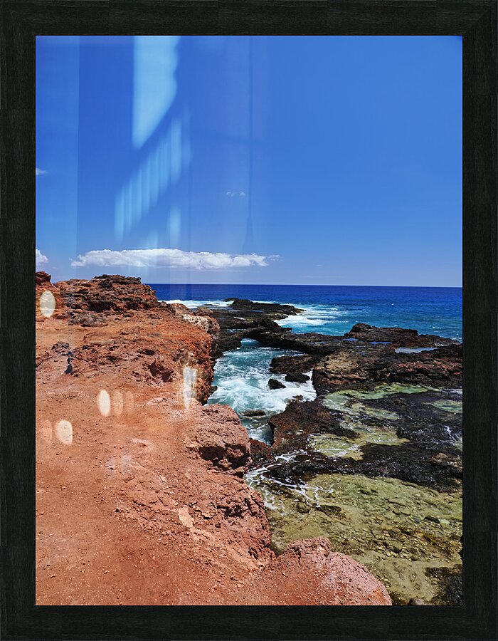 Nature’s Palette Picture Frame print
