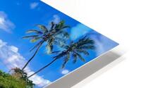 Eclipsed Paradise HD Metal print