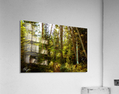 Photo 76 Acrylic Print