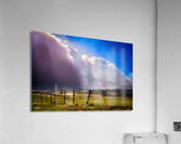 DSC00548 Acrylic Print