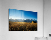 DSC00983 Acrylic Print