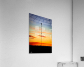  DSC0789 Acrylic Print