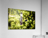 Photo 13 Acrylic Print
