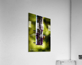 The Tiny Diner Acrylic Print