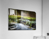 Photo 25 Acrylic Print