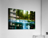 Photo 36 Acrylic Print