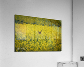 Photo 71 Acrylic Print
