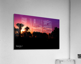 Sunset Through the Wildwoods Acrylic Print