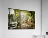 Photo 81 Acrylic Print