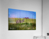 Photo 99 Acrylic Print