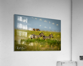 Photo 100 Acrylic Print