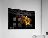 Photo 132 Acrylic Print