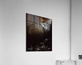 Photo 138 Acrylic Print