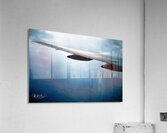 Photo 142 Acrylic Print