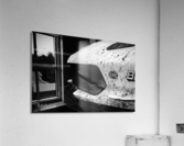 Photo 150 Acrylic Print