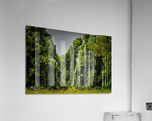 Photo 149 Acrylic Print