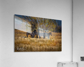 Photo 171 Acrylic Print