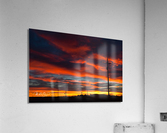 Photo 190 Acrylic Print
