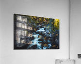 Photo 10 Acrylic Print