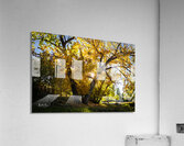 Photo 127 Acrylic Print