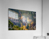 Photo 125 Acrylic Print