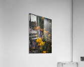 Photo 126 Acrylic Print