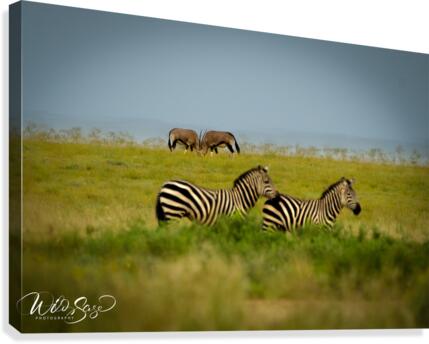 Photo 100 Canvas Print