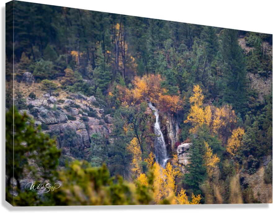 Photo 125 Canvas Print