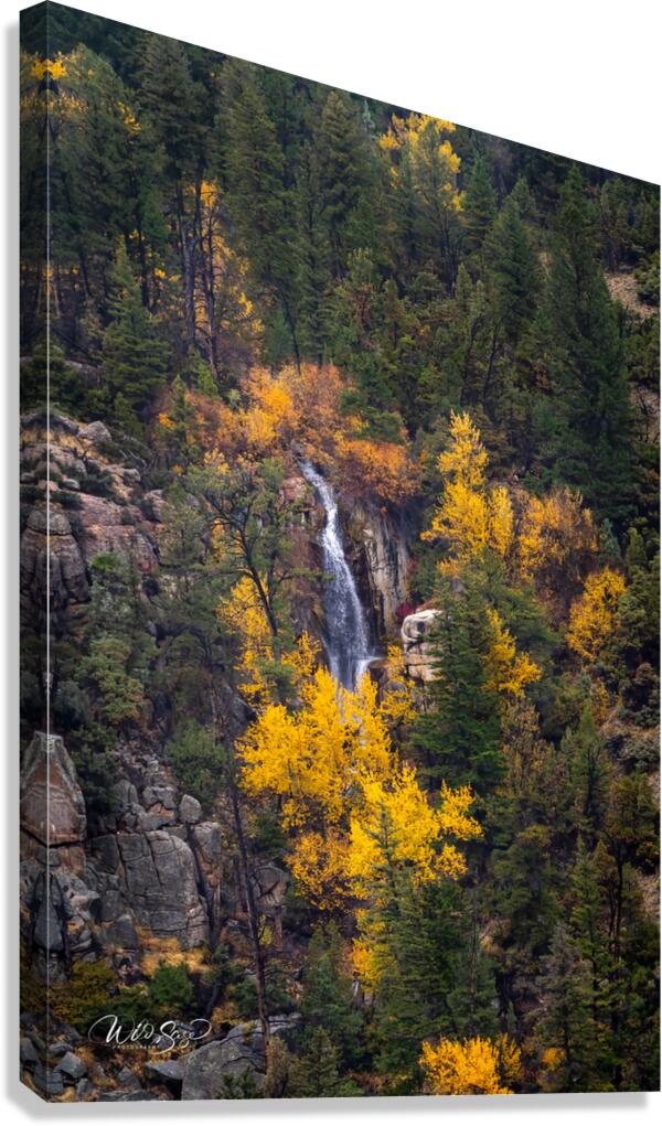 Photo 126 Canvas Print