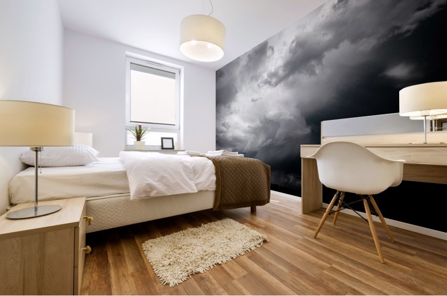 Storm on Plains Mural print