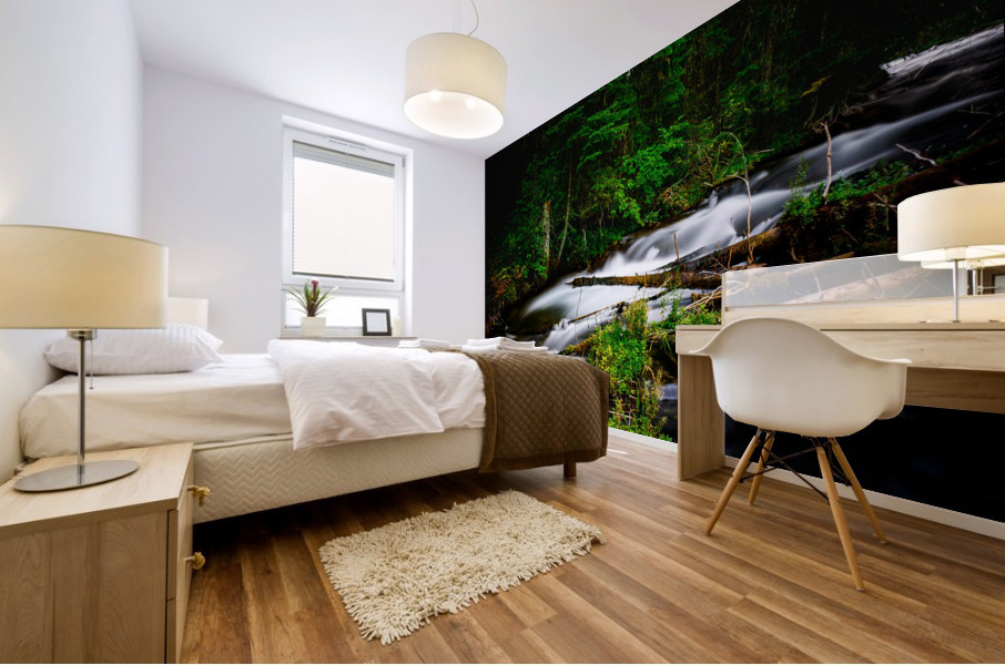 Source of Tranquility Mural print