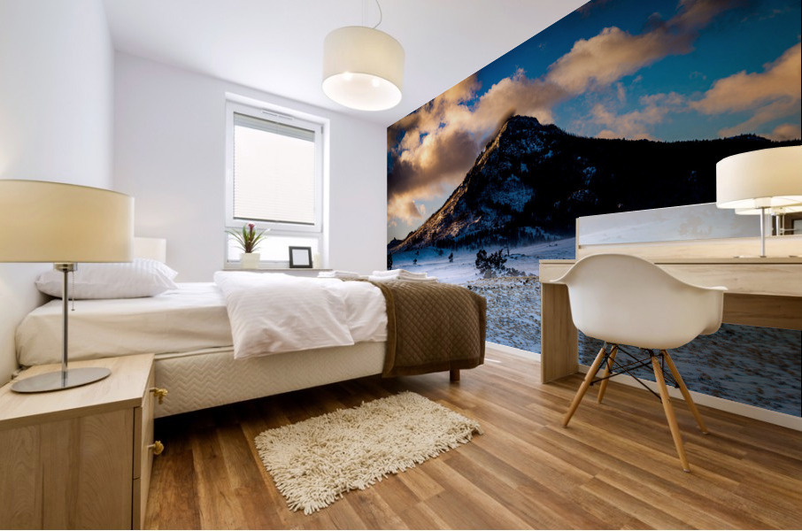 Photo Mural print