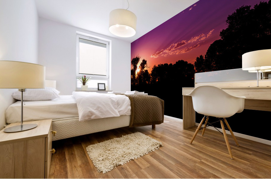 Sunset Through the Wildwoods Mural print