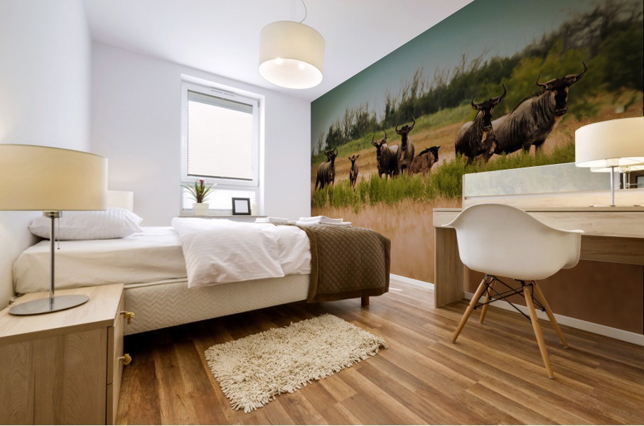 Photo 129 Mural print
