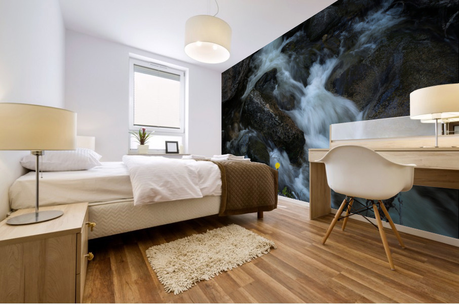 Photo 266 Mural print
