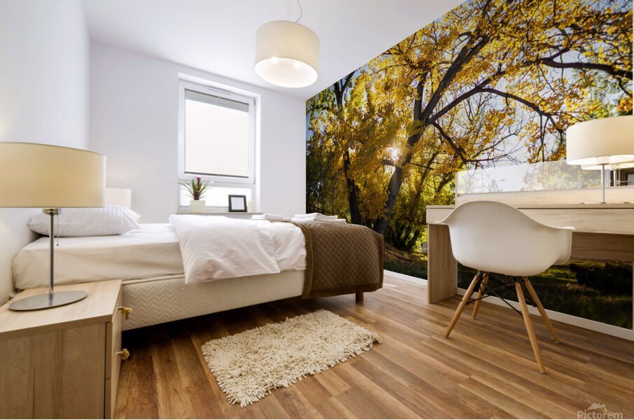 Photo 127 Mural print