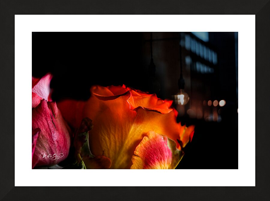 Fire in Bloom Picture Frame print