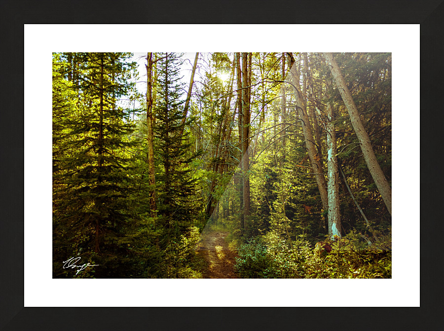 Photo 76 Picture Frame print