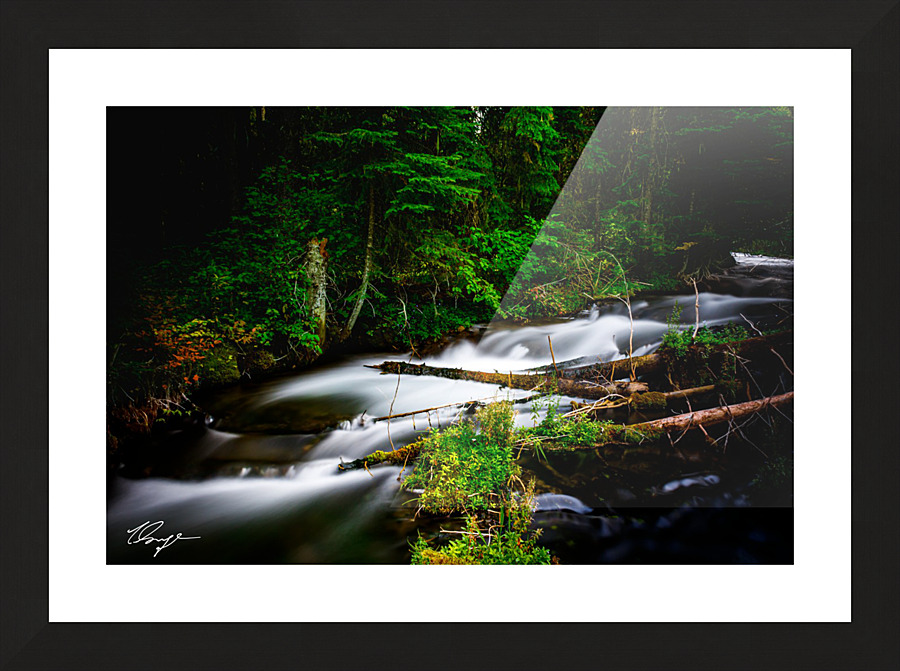 Source of Tranquility Picture Frame print