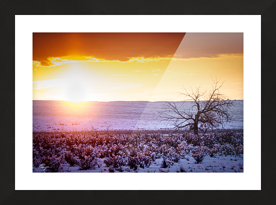  DSC1488 2 Picture Frame print